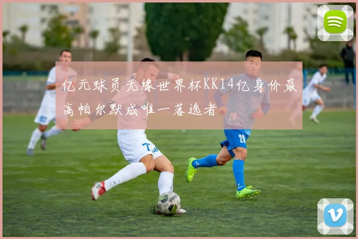 亿元球员无缘世界杯KK14亿身价最高帕尔默成唯一落选者